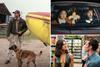 'The Dog Stars', 'Coyote Vs. Acme', 'One Night Only'