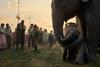 dumbo c disney 9