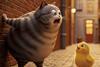 Cat Biggie