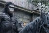 Apes conquer UK box office
