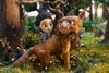 Tales from the Magic Garden_Credit Maur film, Artichoke, ZVVIKS, Vivement Lundi