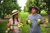 The Fruit Hunters