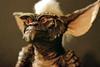Gremlins