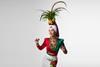 Giovanna Lancellotti as Carmen Miranda