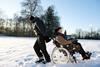 intouchables_2