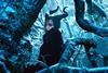 Maleficent
