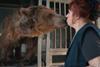 'Bear With Me'