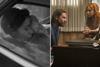 'ROMA', 'A Star Is Born' among Camerimage competition line-up