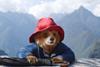 'Paddington In Peru'