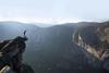 Free Solo c Dogwoof