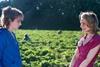 Strawberry_Fields_1