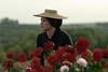 Why cinematography and screenwriting are the themes of Evolution Mallorca 2024