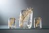 Cannes Palme d'or