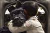 Isle of dogs b dir wes anderson fox