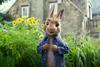 peter rabbit