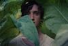 happy as lazzaro c cannes competition