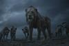 lion king