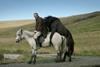 Of Horses And Men