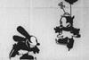 'Lost' Disney short found in BFI Archive