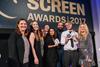 Screen awards 2017