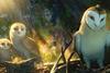 Legend Of The Guardians: The Owls Of Ga’Hoole