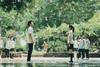 Lovesick