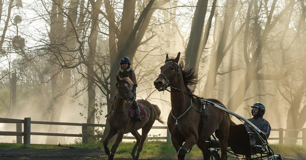 Newen Connect przedstawia kupującym dramat o wyścigach konnych Christiana Duguay’a „Ride Above” |  Aktualności