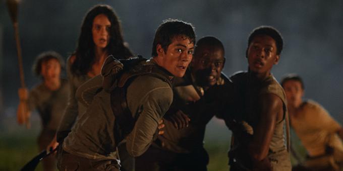 The Maze Runner Reviews Screen 