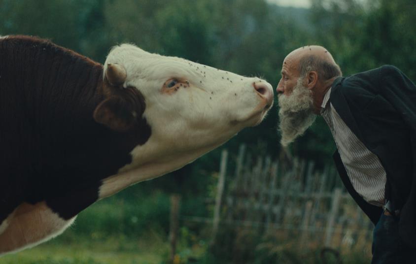 Czech-Slovak film “Better Go Mad in the Wild” wins Grand Prix Crystal Globe at Karlovy varied 2025 Czech-Slovak film “Better Go Mad in the Wild” wins Grand Prix Crystal Globe at Karlovy varied 2025