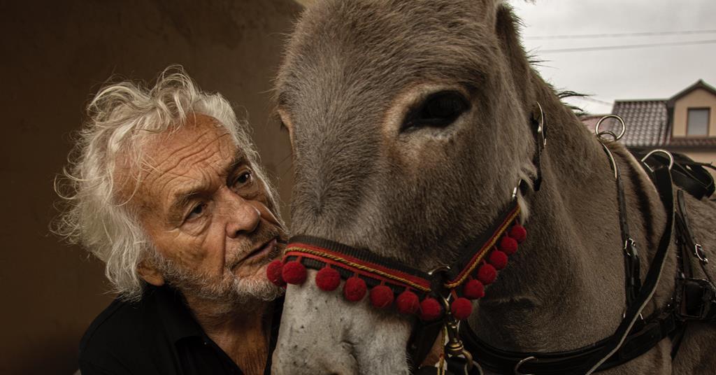 Režisér „EO“ doufá, že hrdina filmu „The Donkey“ bude inspirovat více respektu k právům zvířat |  Funkce