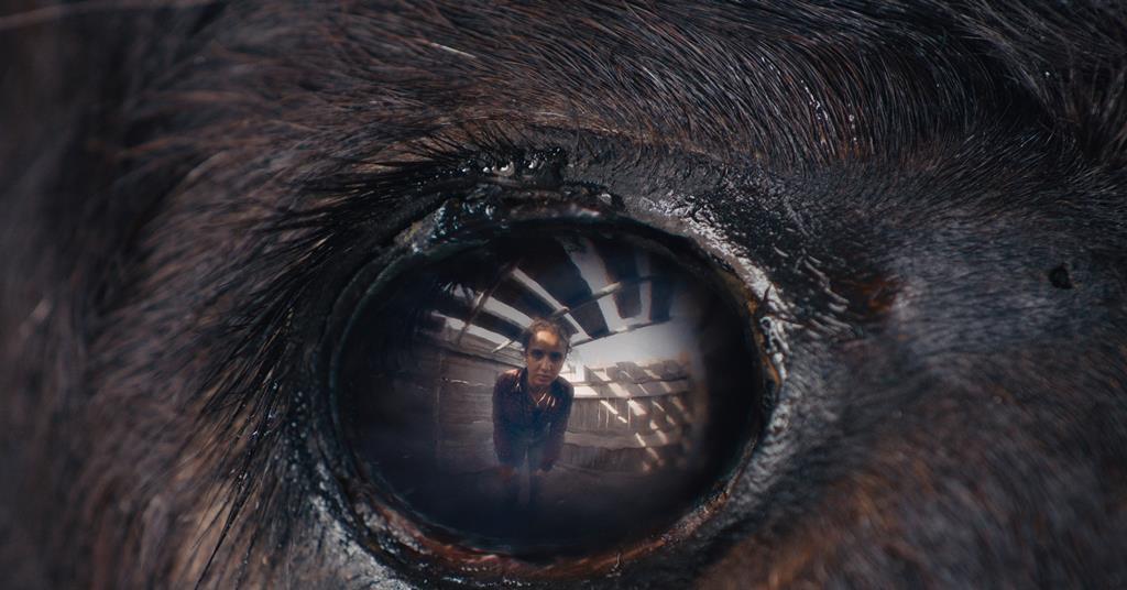 Cannes Critics’ Week closing film ‘Animale’ sells to North America (exclusive)