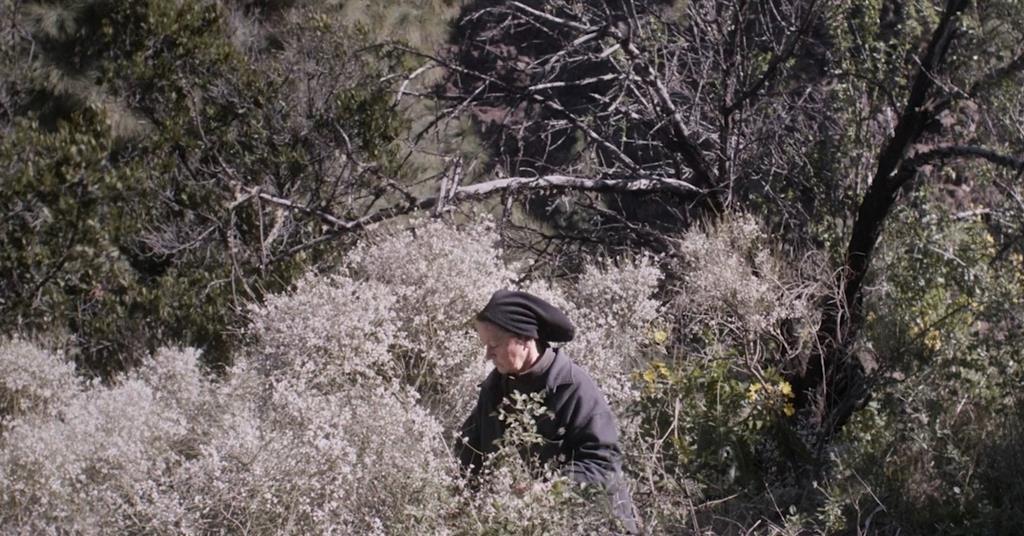 SplitScreen bổ sung mục 'The Undergrowth' của Diễn đàn Berlinale vào phương tiện bán hàng (độc quyền)