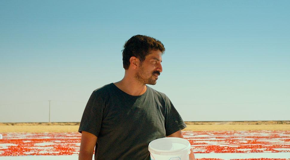 Oscars Best International Feature 2026: All films submitted so far Oscars Best International Feature 2026: All films submitted so far