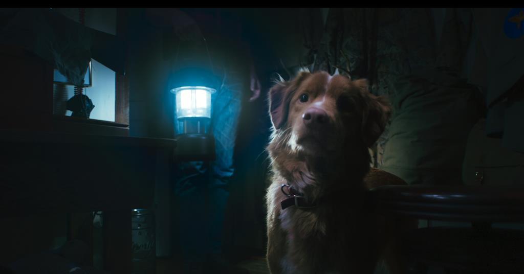 The height sells worldwide theater via the SXSW genre hit “Good Boy”. The height sells worldwide theater via the SXSW genre hit “Good Boy”.