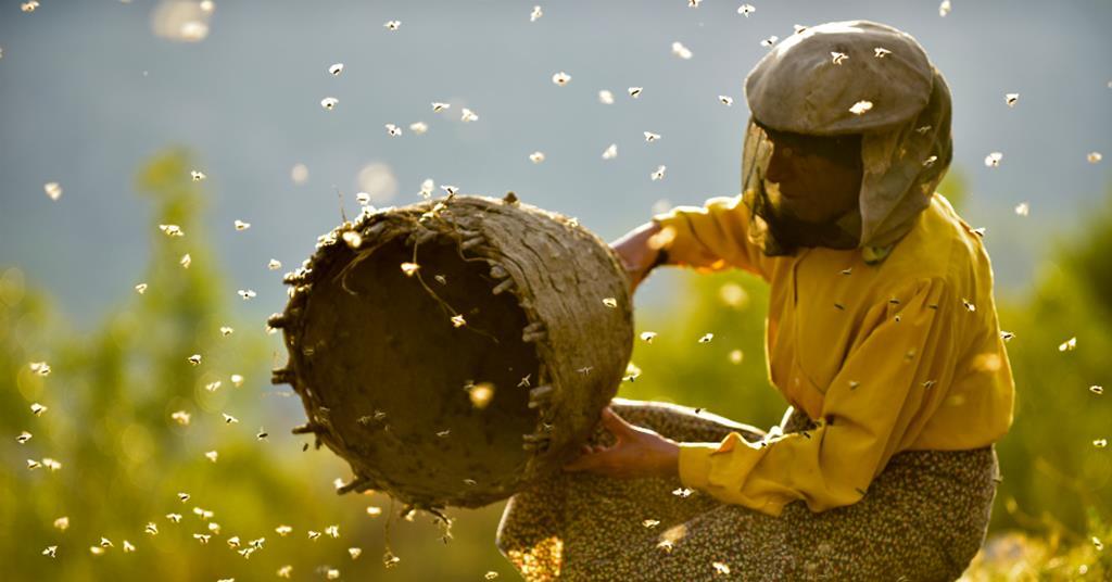 'Honeyland': Đánh giá Sundance