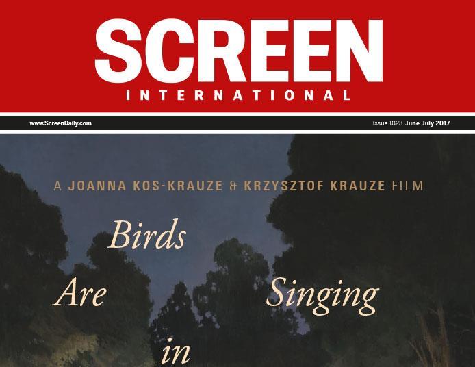 screen daily