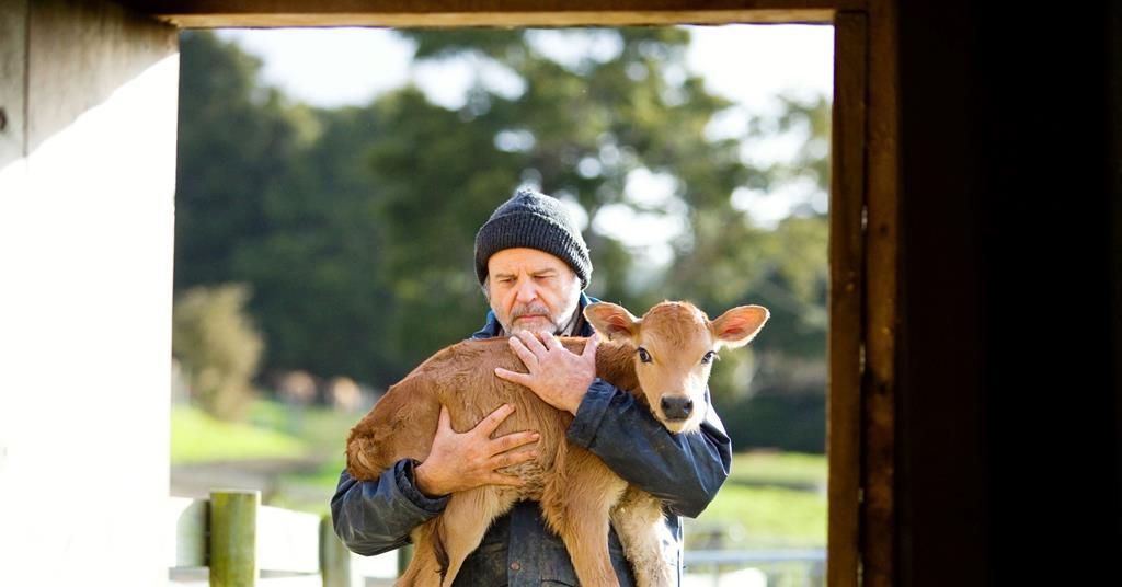 'Bellbird': Đánh giá ở Sydney