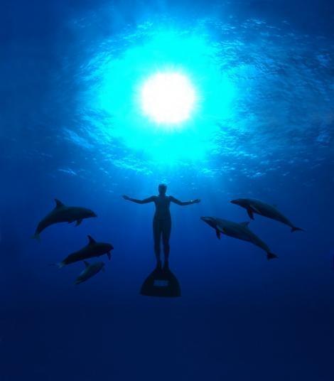 《The Cove》的日本上映日期終於確定