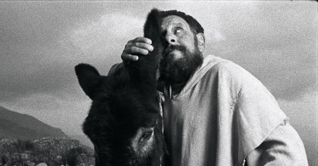 True Colors takes the sale for the title “Bravo Bene!”