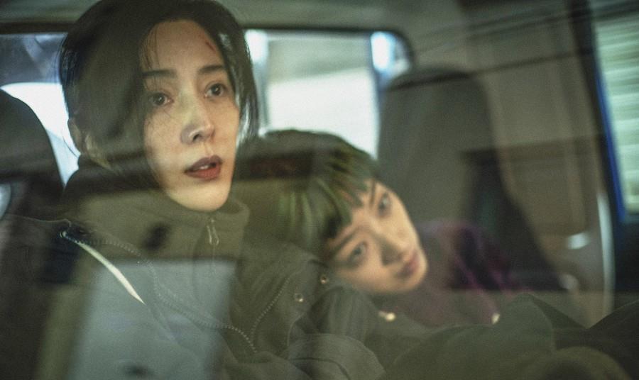 Cercamon boards world sales on Berlinale Panorama title ‘Green Night ...