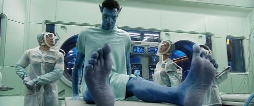 Local hit freezes out Avatar | Features | Screen