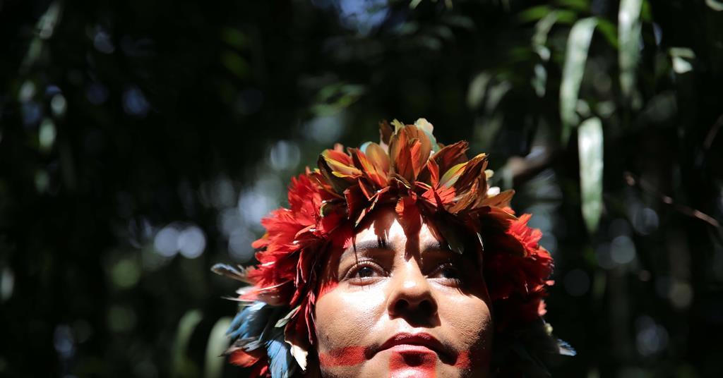 From the fence strike in Great Britain, Germany for Amazonas Rainforest Doc ‘We Are Guardians’ From the fence strike in Great Britain, Germany for Amazonas Rainforest Doc ‘We Are Guardians’