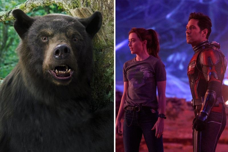 Cocaine Bear' Tops 'Ant-Man Quantumania' At the Box Office Again