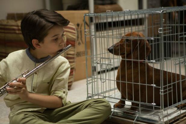 'Wiener-Dog': Đánh giá Sundance