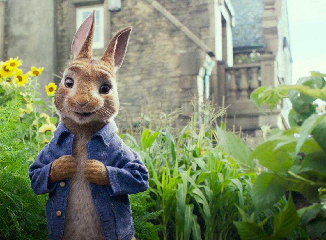 'Peter Rabbit' Review Reviews Screen