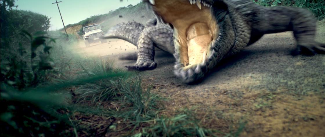 which is more expensive crocodile or alligator