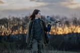 H Is For Hawk