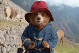 'Paddington In Peru'