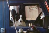Panda in The Love That Remains