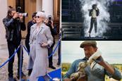 'The Devil Wears Prada 2', 'Michael', 'The Sheep Detectives'